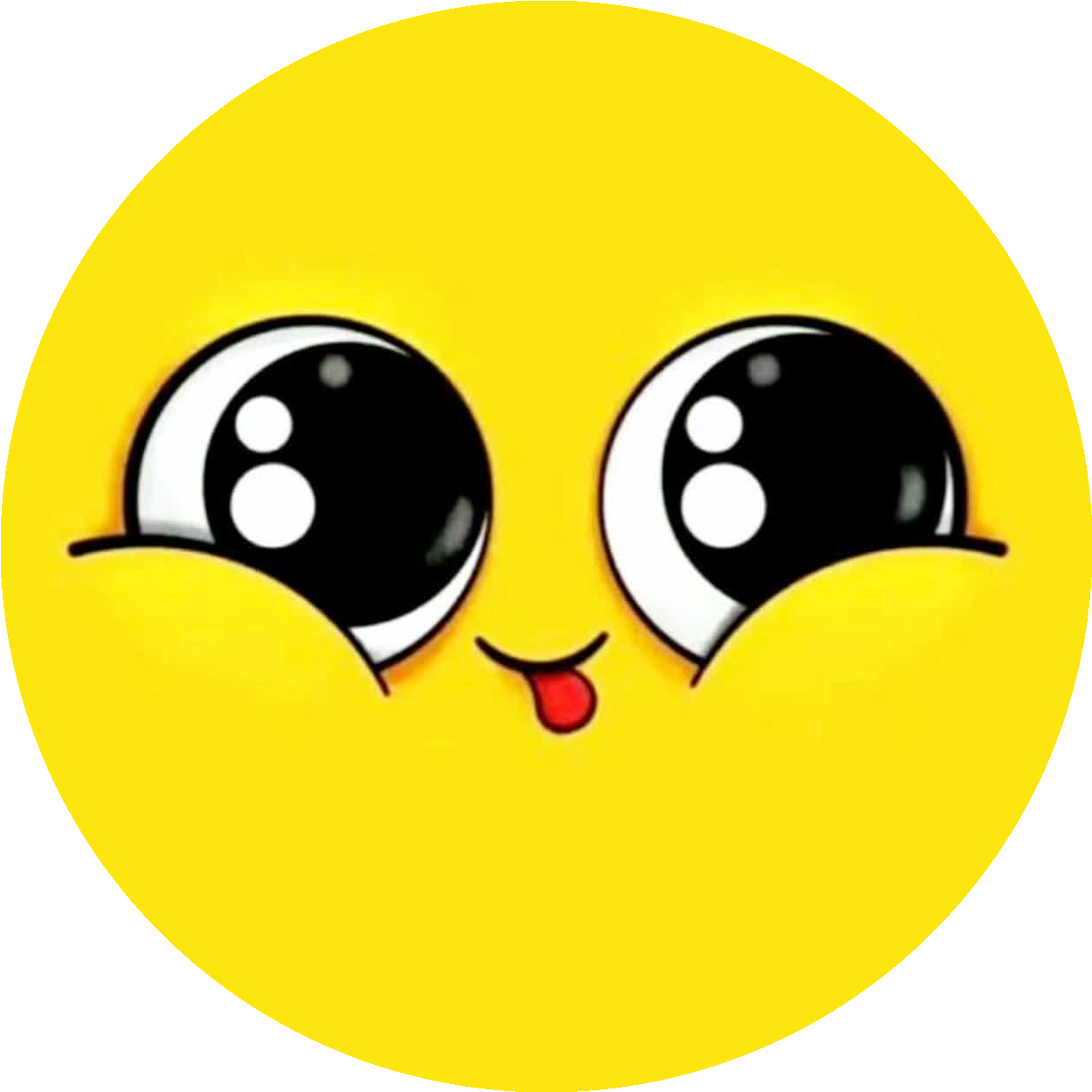محیکا شاپ